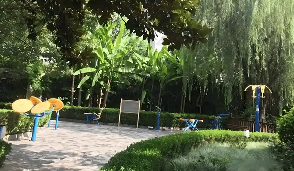 网游之轮回印