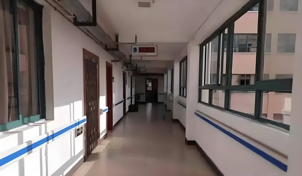 龙血鼎